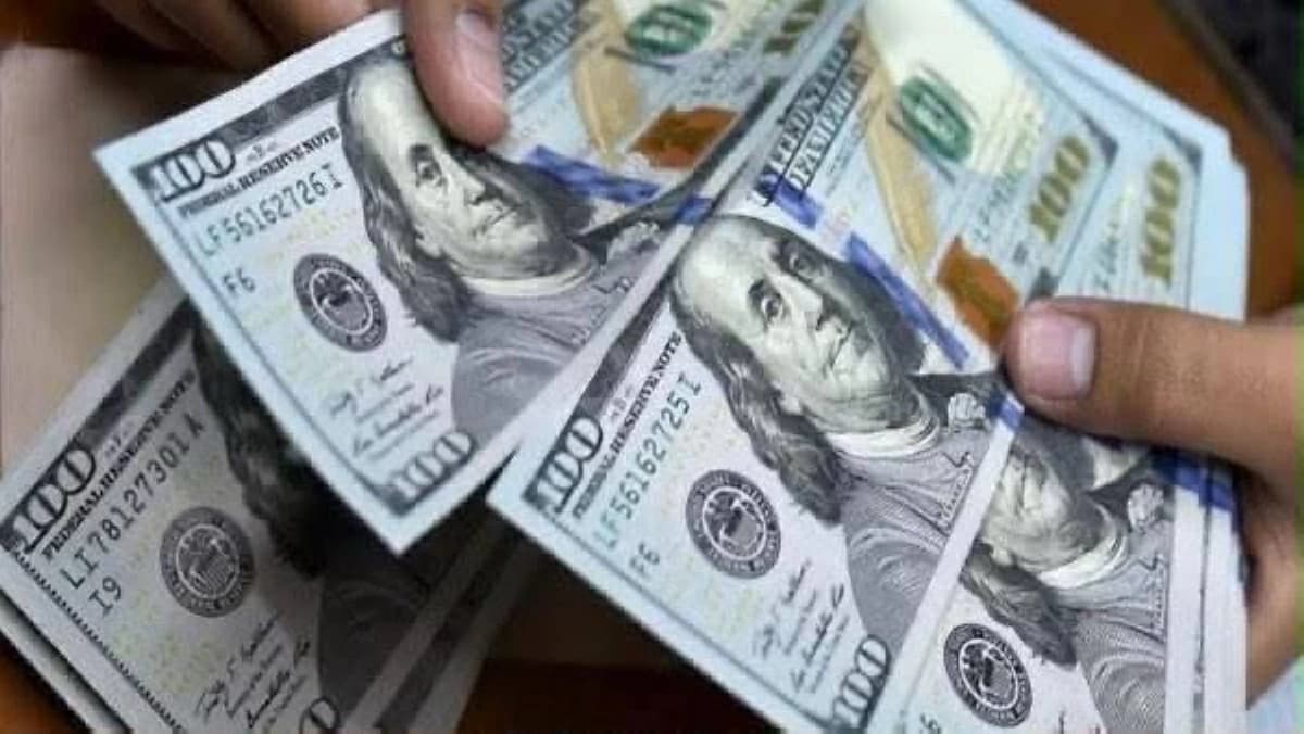 Egypt dollar rate holds above 51