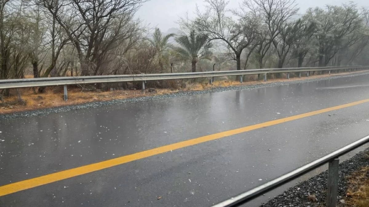 UAE Masfai sees frost and rain expected to persist for three days
