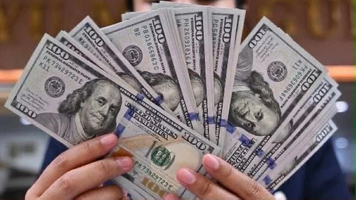 سعر الدولار في مصر اليوم الأربعاء 29 يوليو