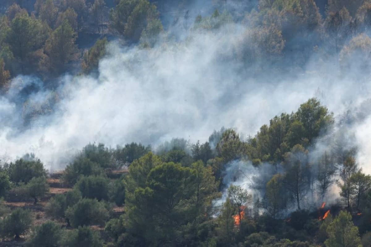 Fires stabilize in central Spain amid heatwave concerns