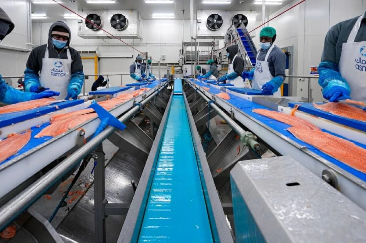 Ghad Food Holding reports 127.6M profit