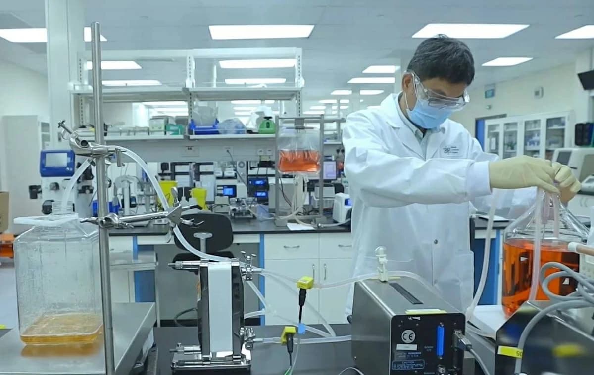WHO forecasts Ebola vaccine progress