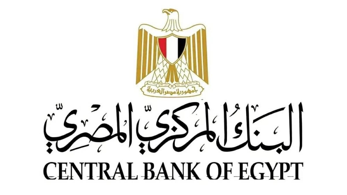 Egypt Central Bank Rolls Out Digital Portal for African Banks