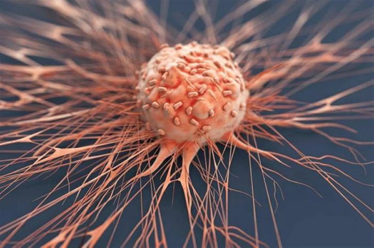Revealing Hidden Dangerous Breast Cancer Cells