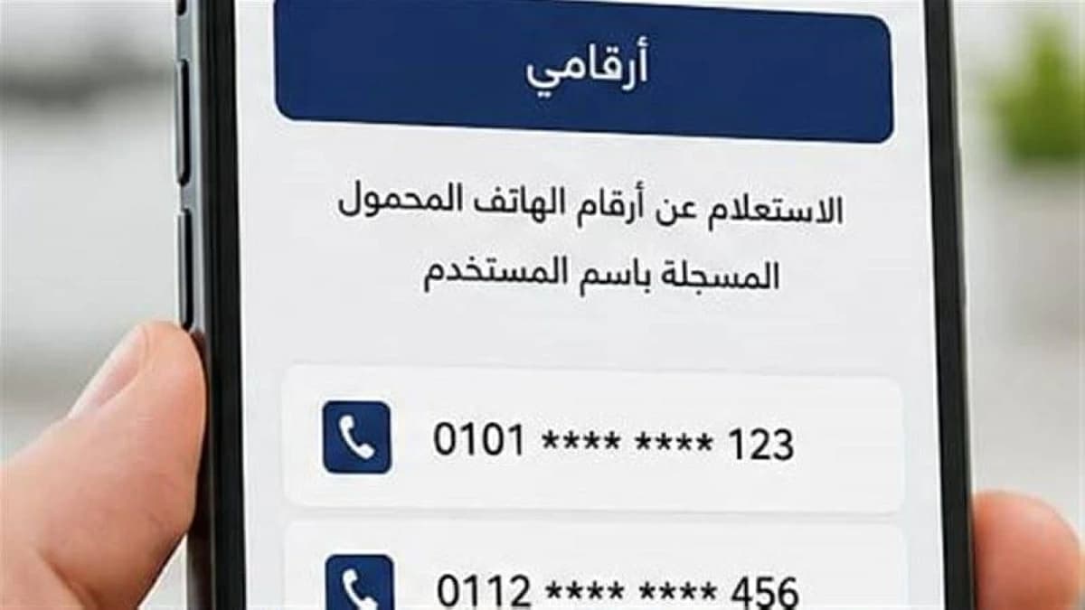 تجديد خدمة أرقامي يعيد حبس مصري 25 عاما