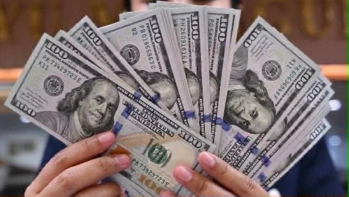 مستجدات سعر الدولار في مصر الأربعاء