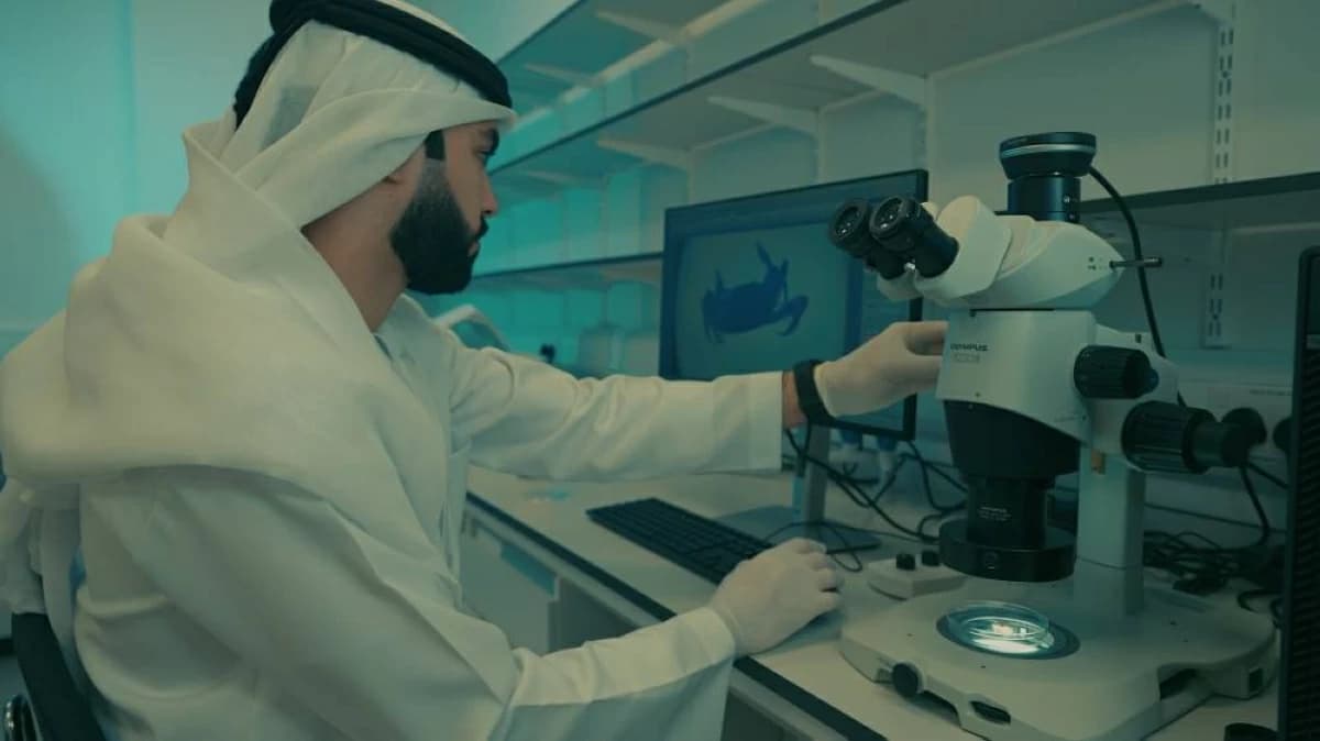 Al Khorfakan’s Scientific Rise
