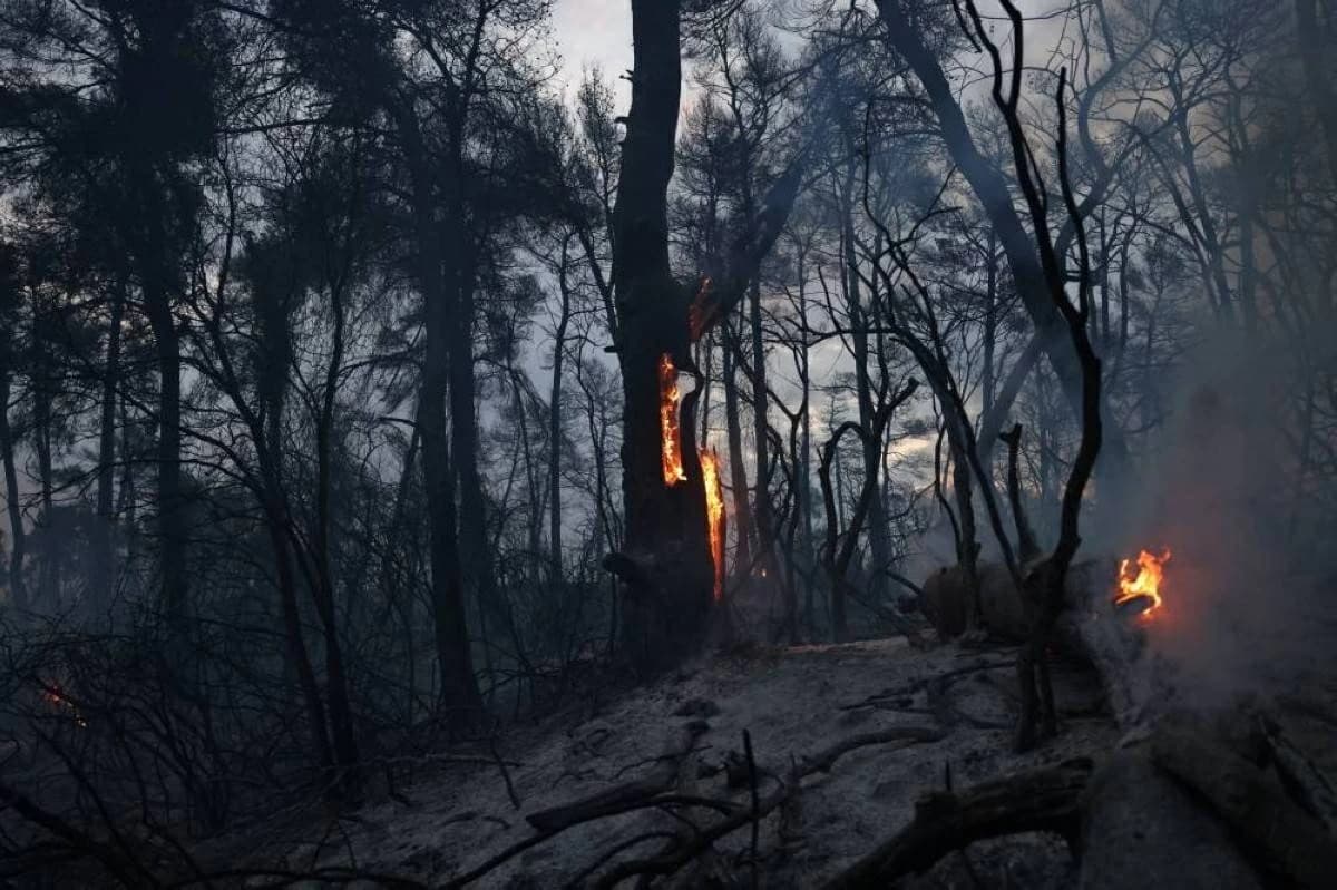Germany forest fire evacuates 1,800