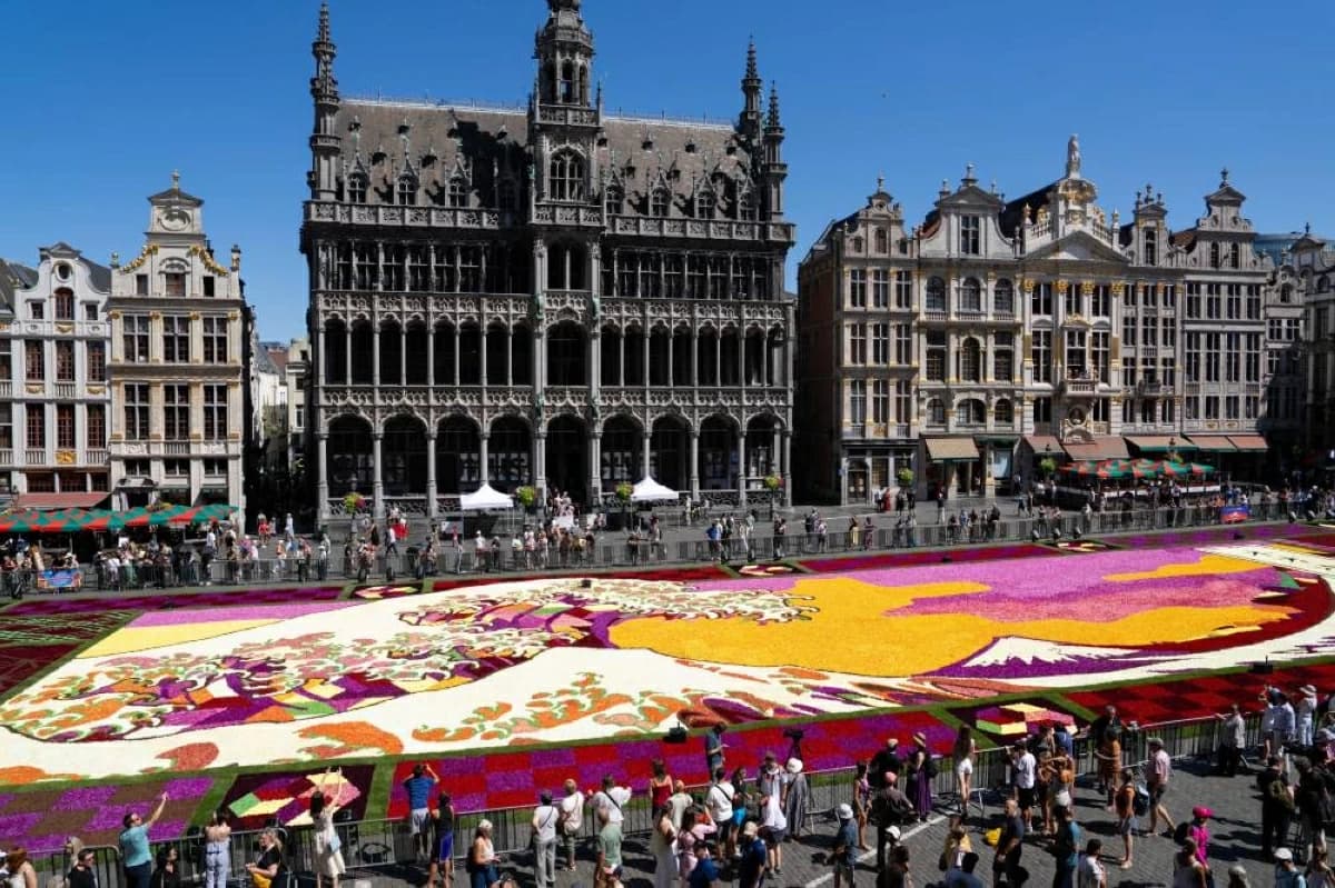 Brussels Central Square becomes flower carpet