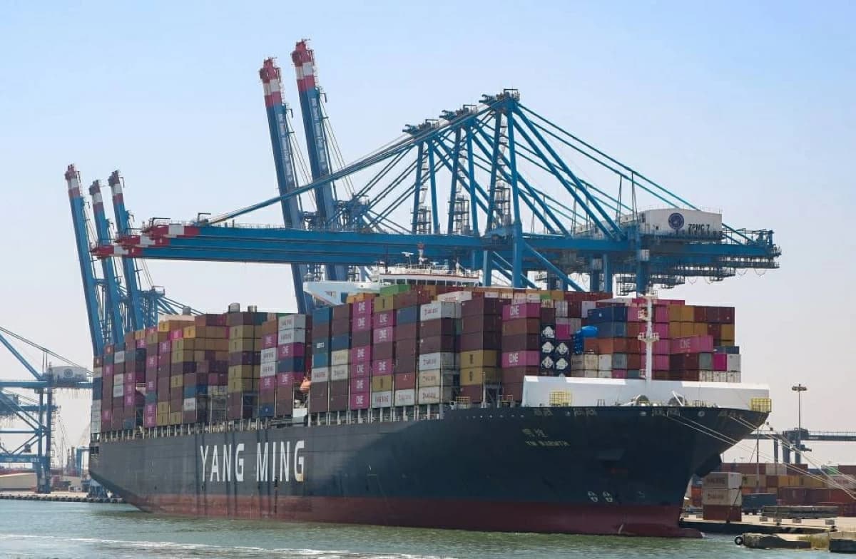 Egyptian food exports reach 160,000 tons