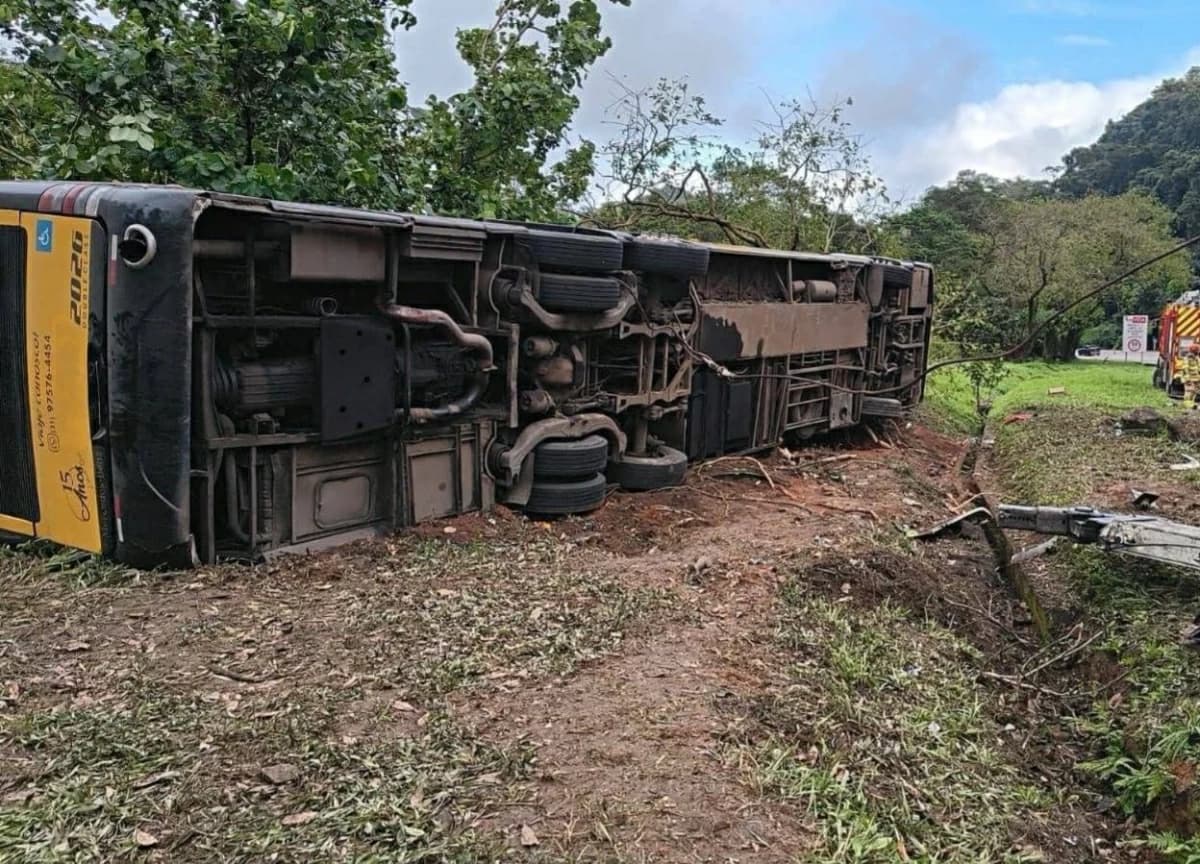 Brazil bus crash: 10 dead and dozens injured
