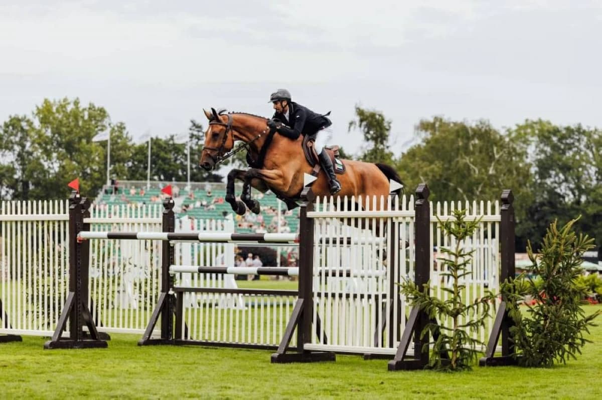 Emirati show jumping horses undergo vet check at World Equestrian