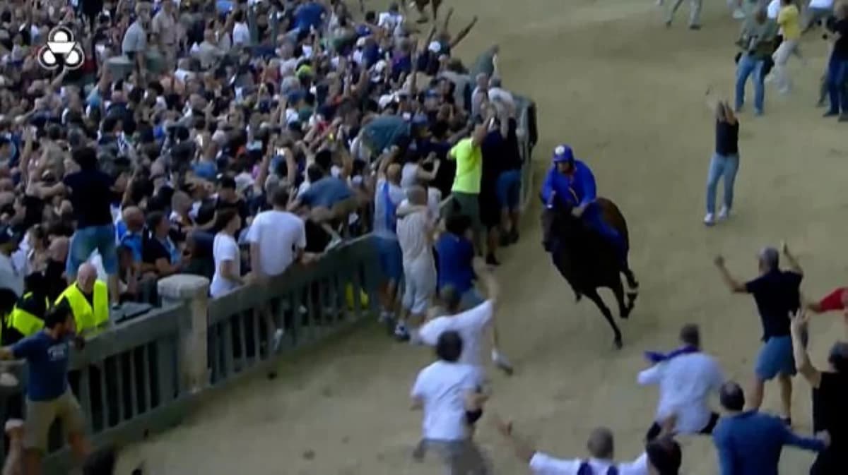 Fan enthusiasm causes knight and horse fall