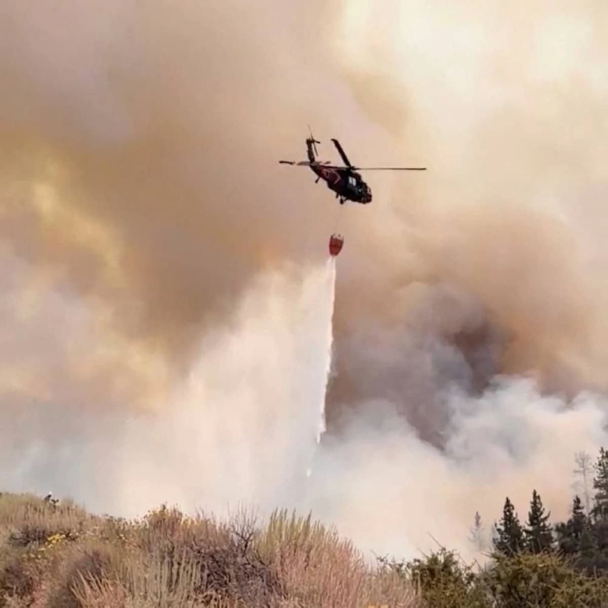 Nevada wildfire causes 40,000 evacuations