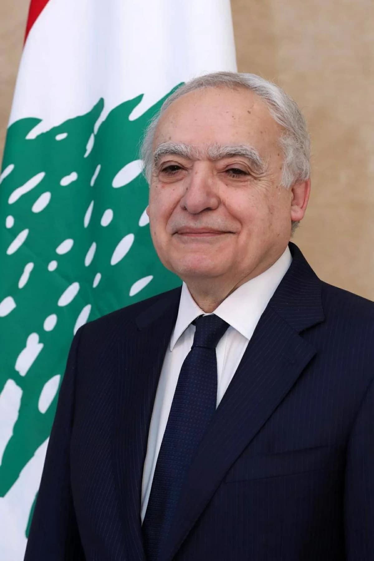 Lebanese Culture Minister at Arab Media Summit