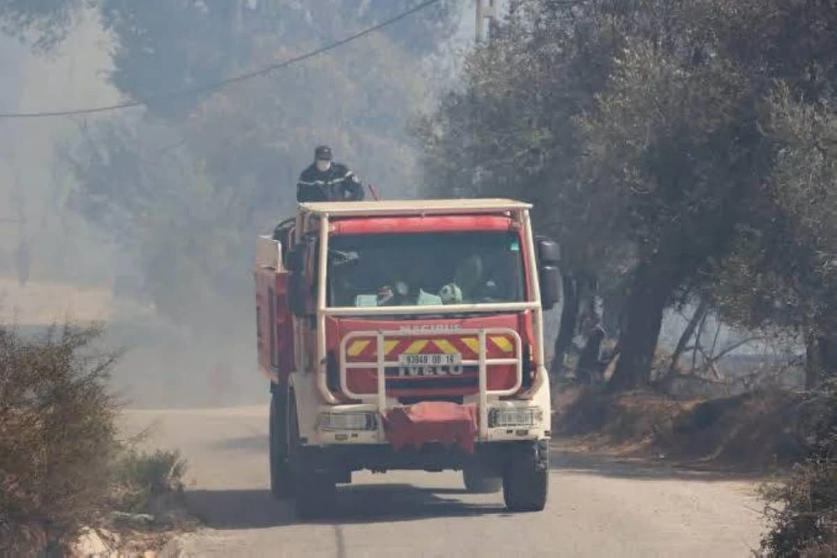 Algerian wildfires kill 12 and injure dozens