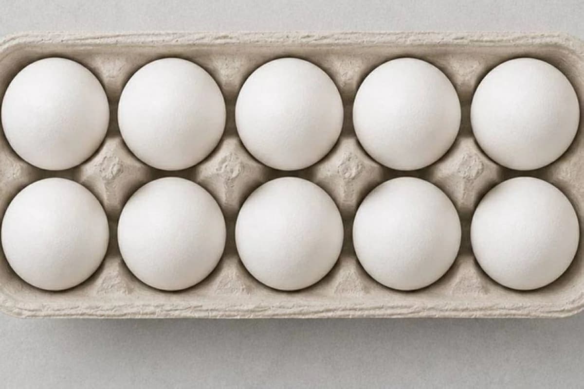 UAE Markets Remain Free of US Egg Withdrawals
