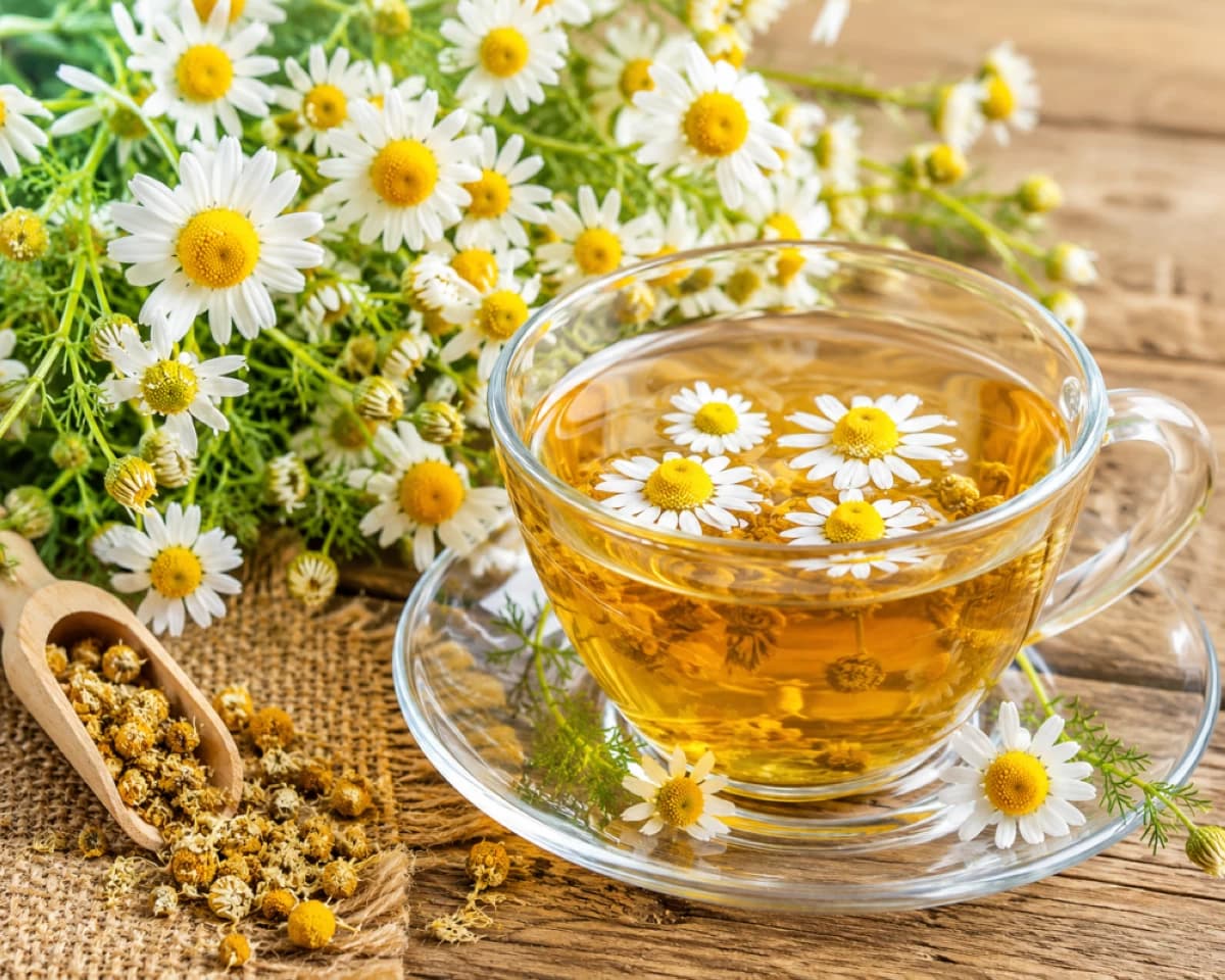 Chamomile: A Calmness-boosting Drink