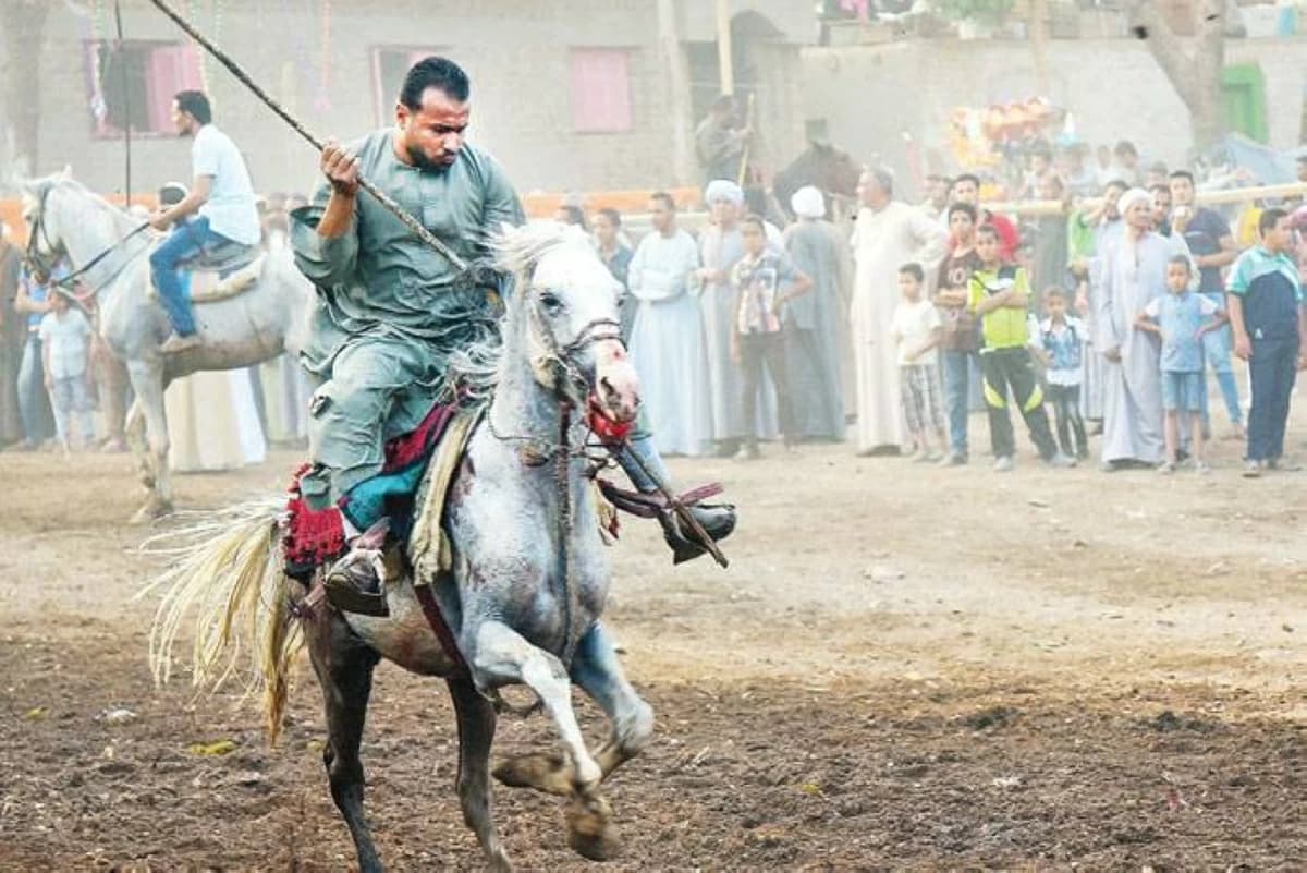 صوابي الخيل في مصر وتاريخ الفروسية