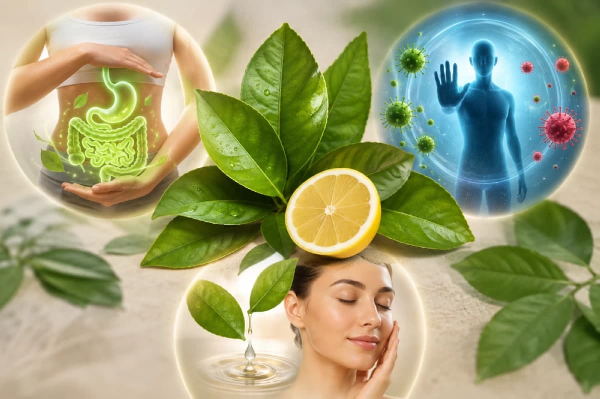 Lemon Leaves Benefits for Health