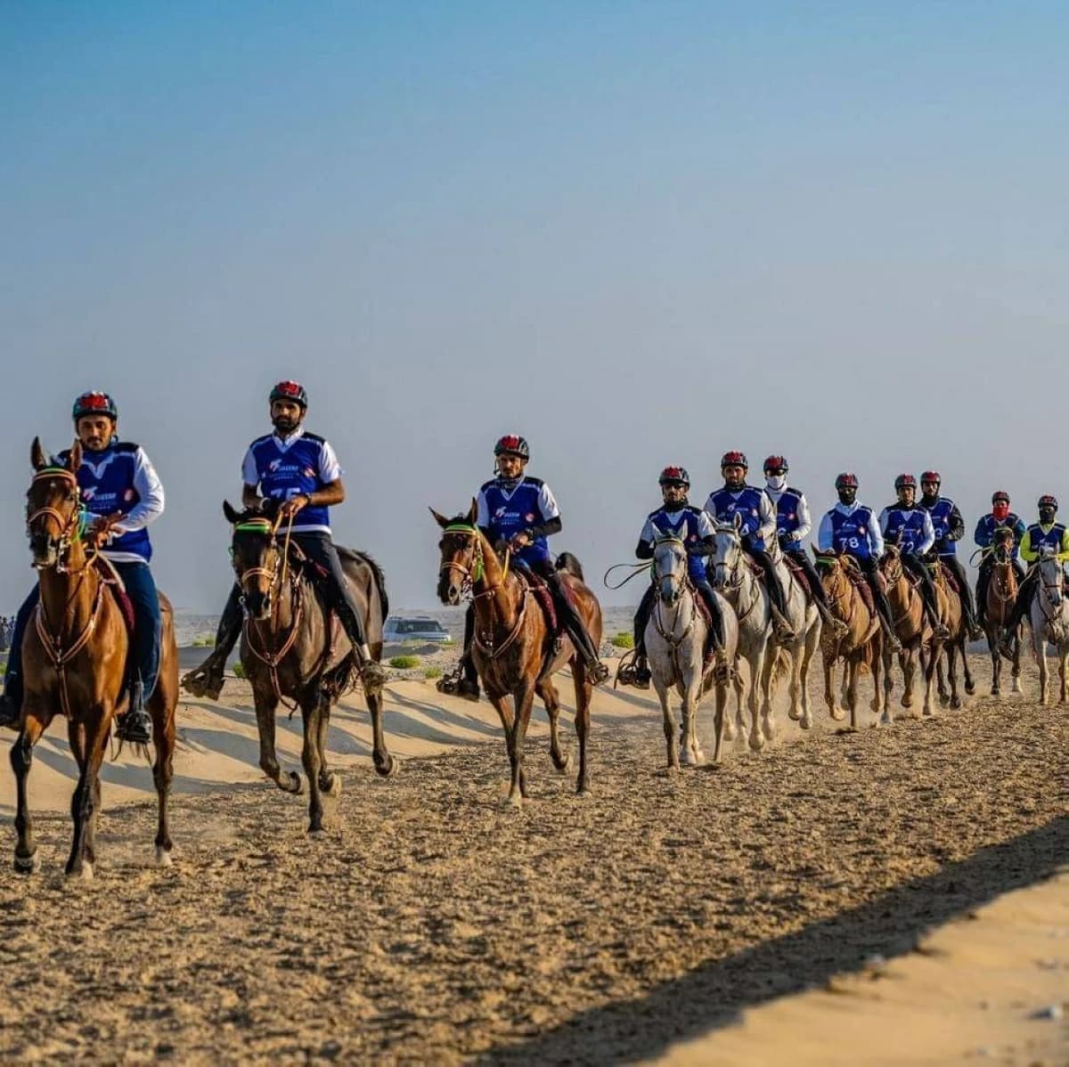 60 endurance races set for 2026-2027
