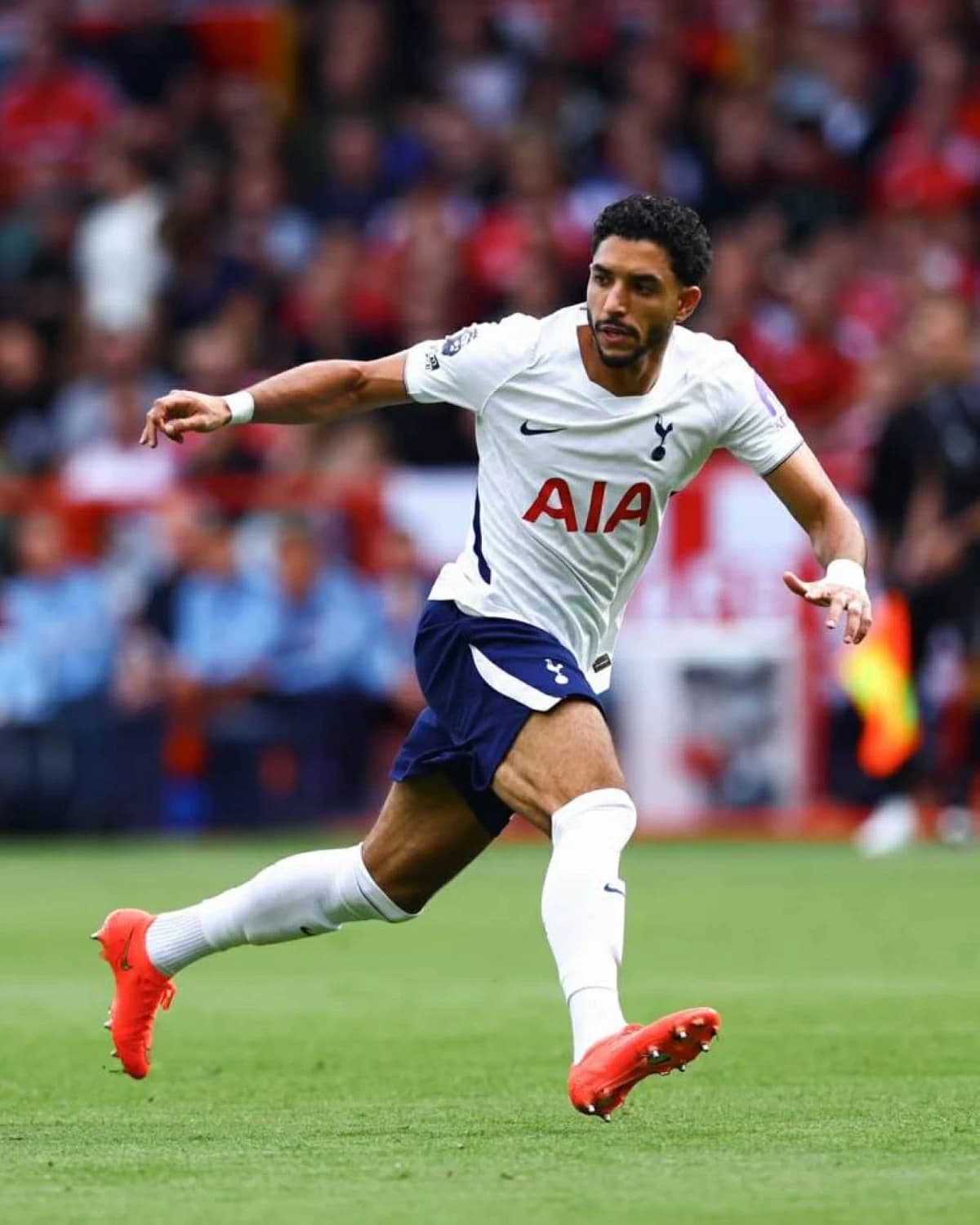Viewing Guide for Tottenham vs Everton