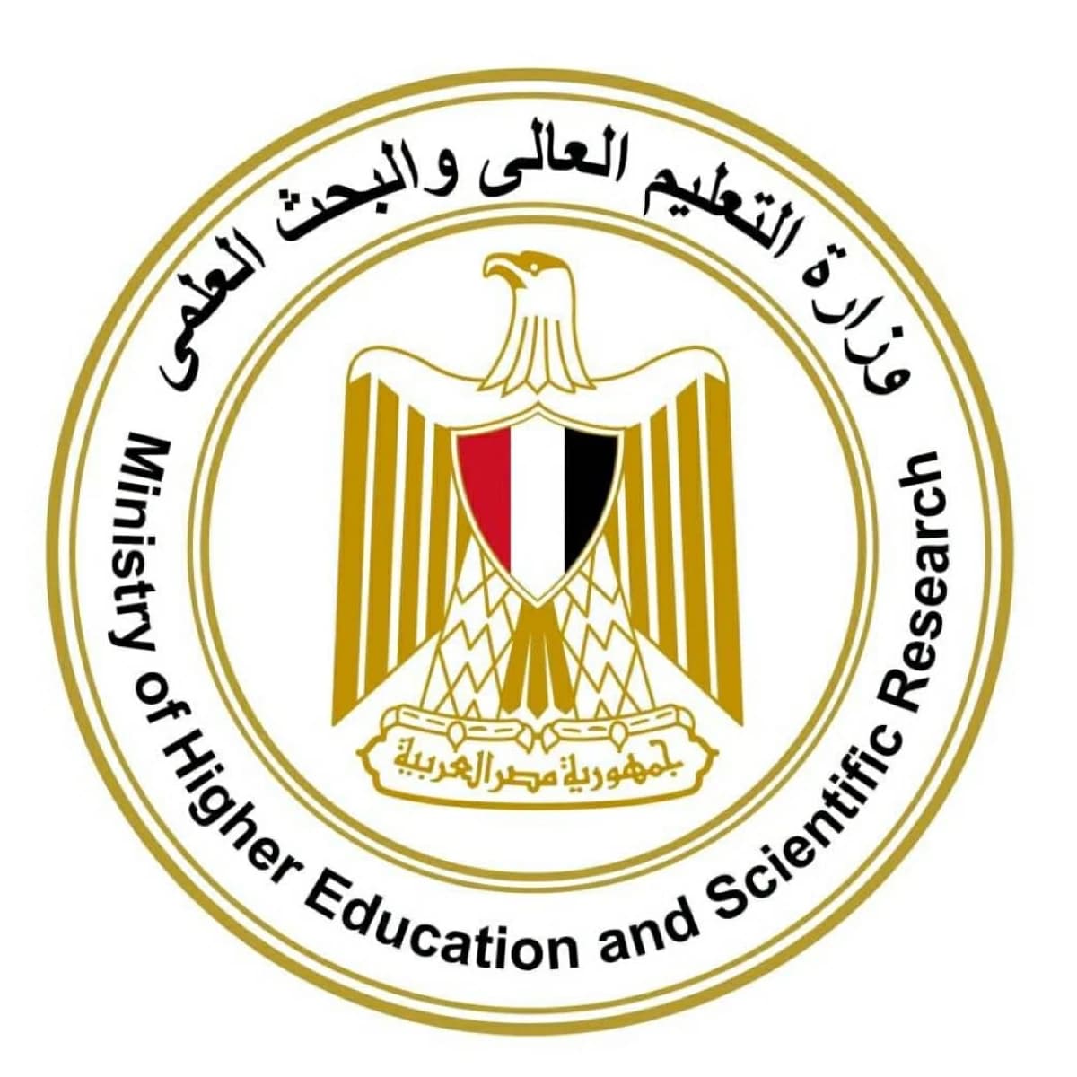 Egypt releases high school migration results