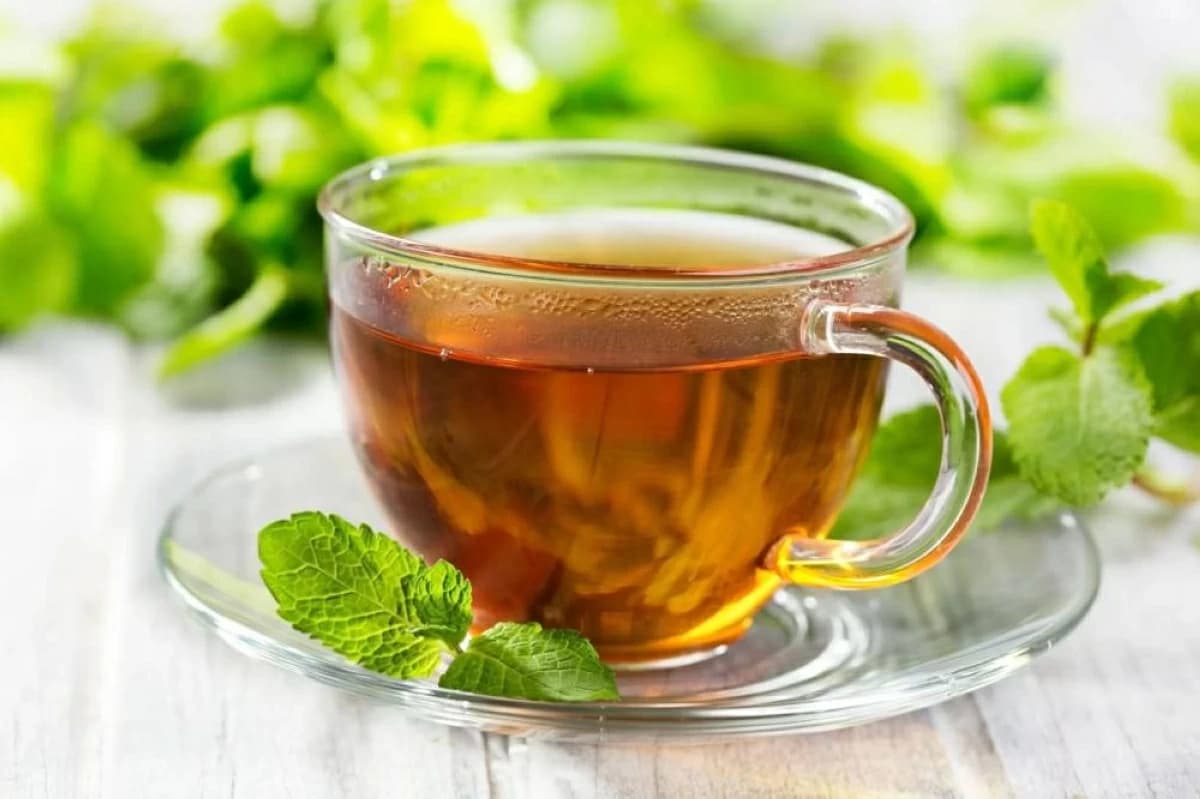 Effects of Daily Green Tea Consumption