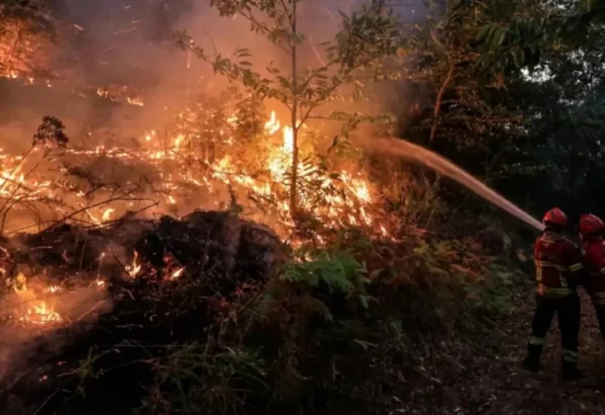 Wildfire Endangers Villages, Injures Firefighters in Portugal