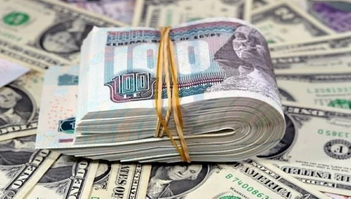Egypt dollar rate update September 22