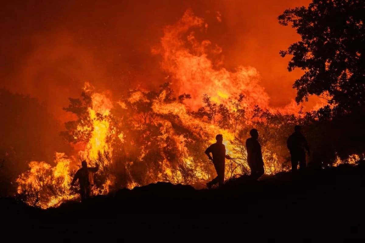 Heatwaves cause 113 billion euro loss in Europe