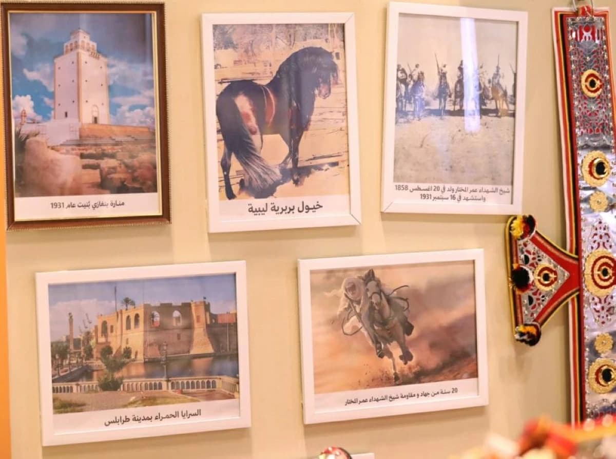 Arabian horse revitalizes Libya in equestrian scene