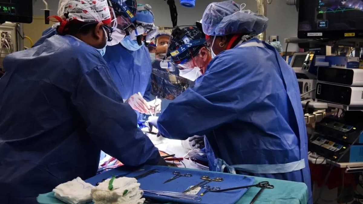 Japan achieves heart stem cell transplant
