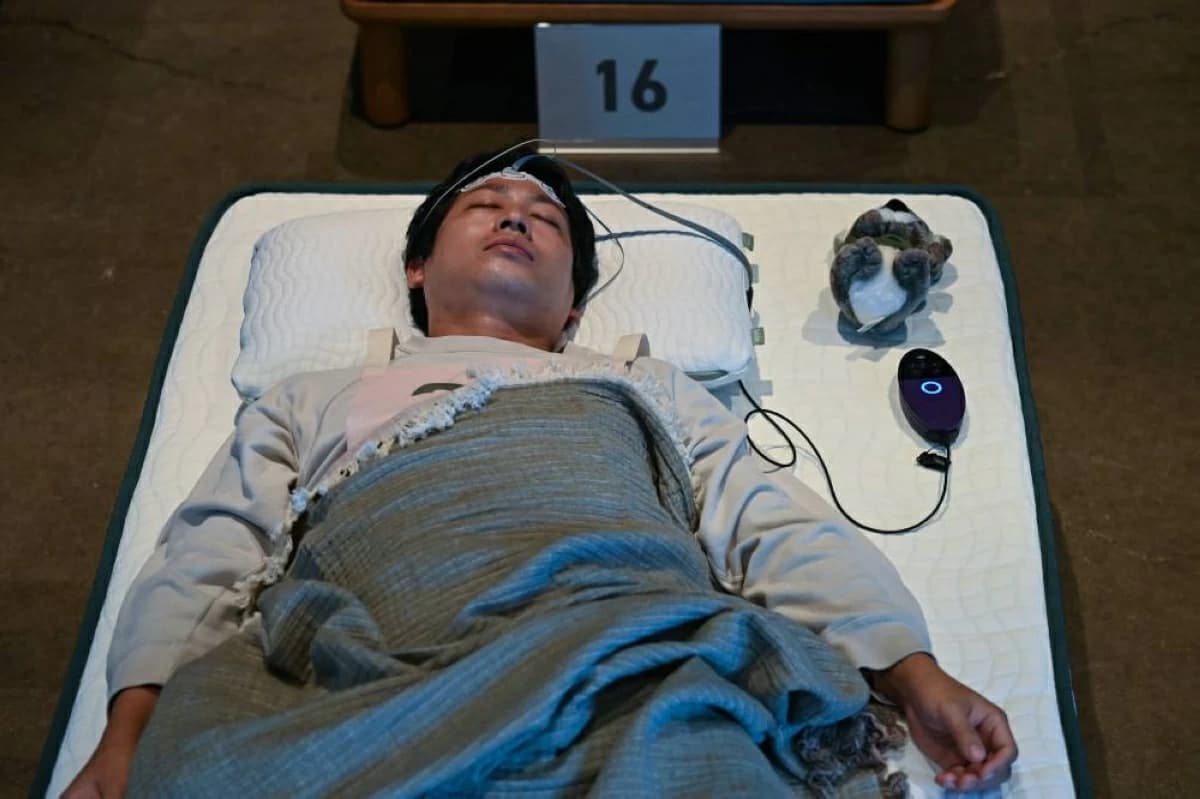 Japan's Professional Sleepers Winner