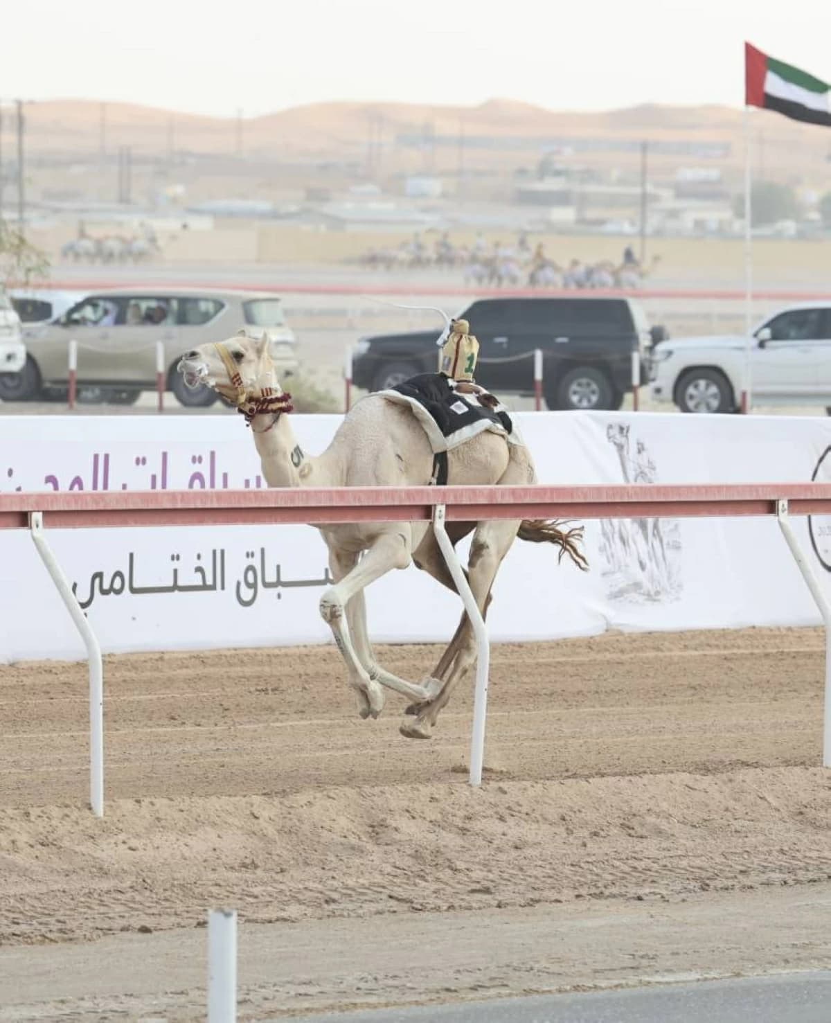 ود يفوز بالكأس و السريع يحرز بندقية الثنايا
