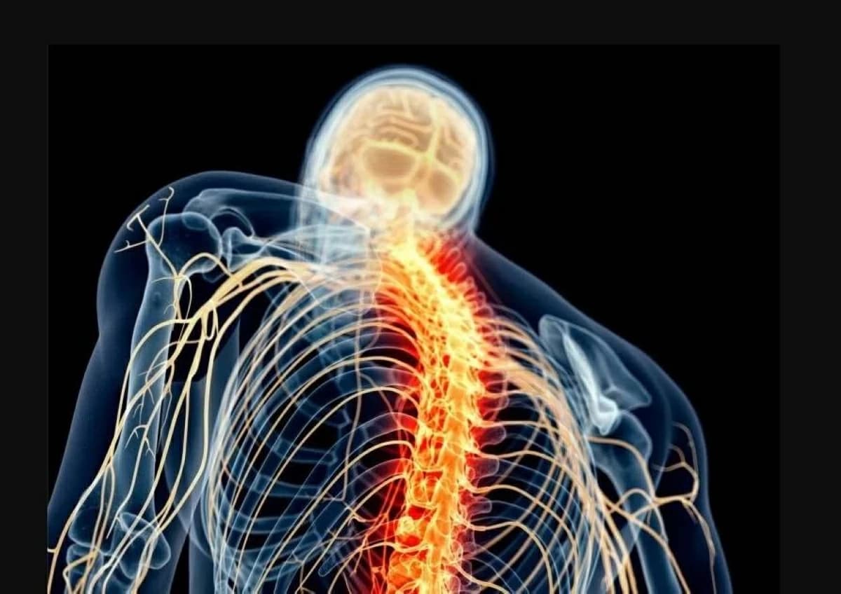 Antibodies for nerve pain