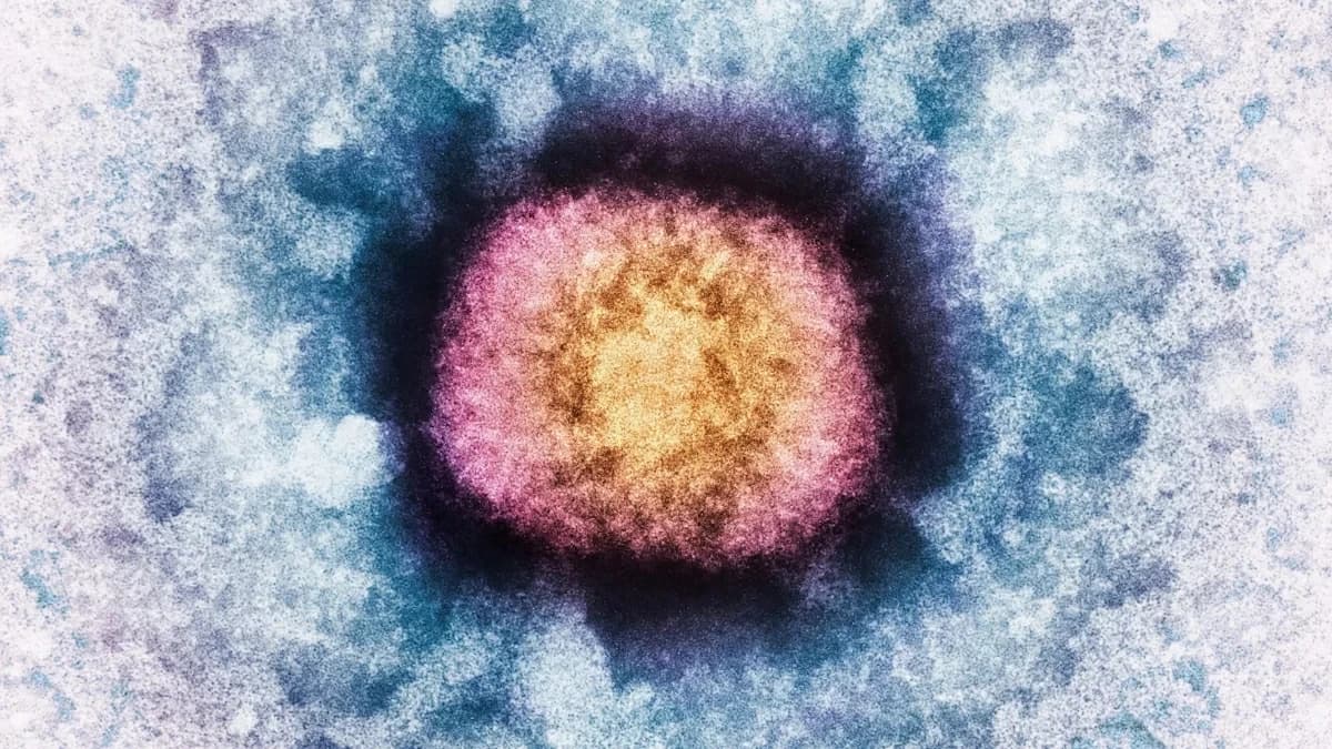 Human gene found in a virus