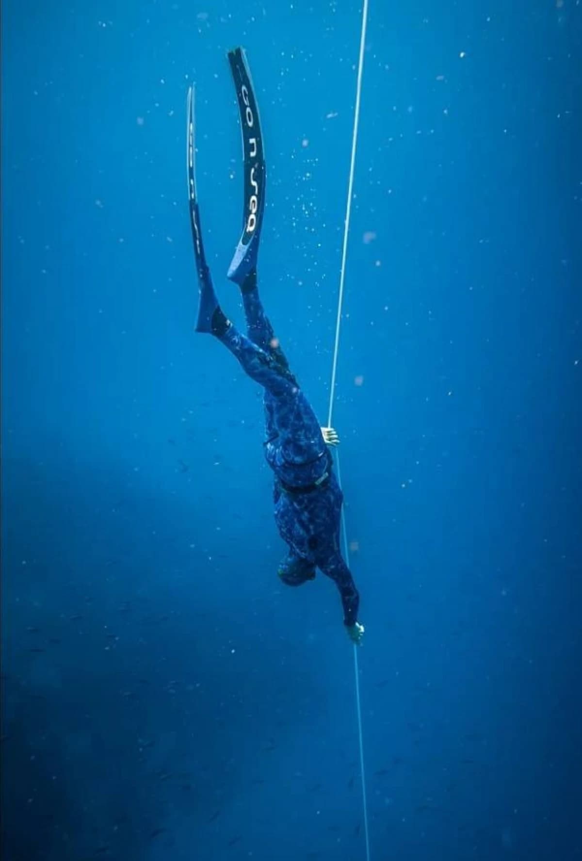Freediving Enhances Brain Networks and Memory