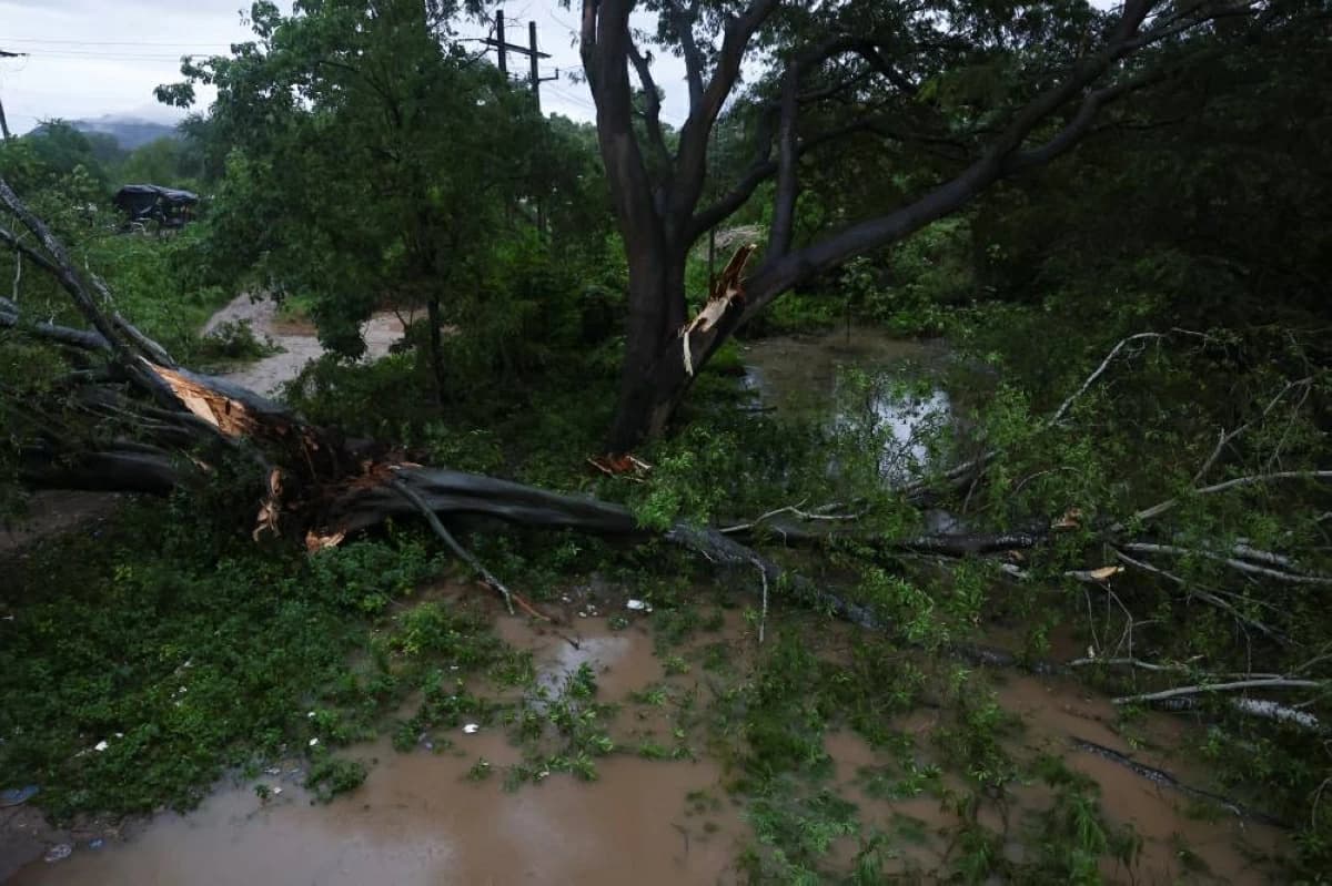 Hurricane Simon Causes Fatalities and Damage in Mexico