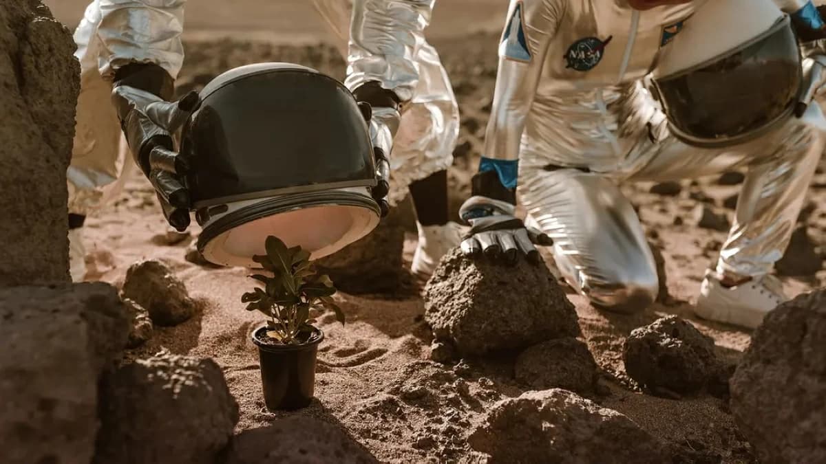 Scientists identify ideal Mars farming sites