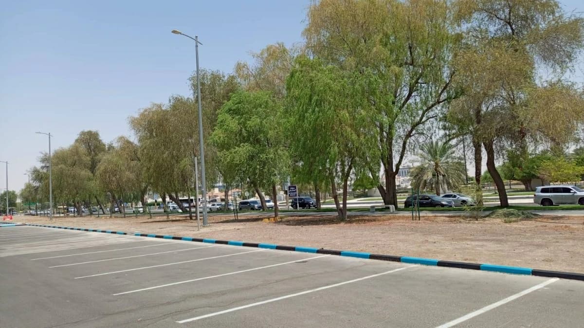 تفعيل المواقف المدفوعة بثلاثة قطاعات في العين
