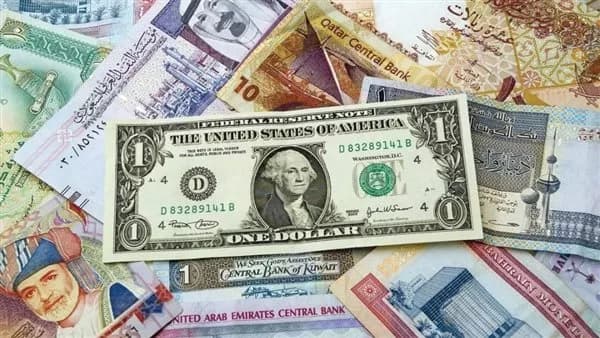 Foreign currency trafficking cases worth 42 mln EGP seized in a week