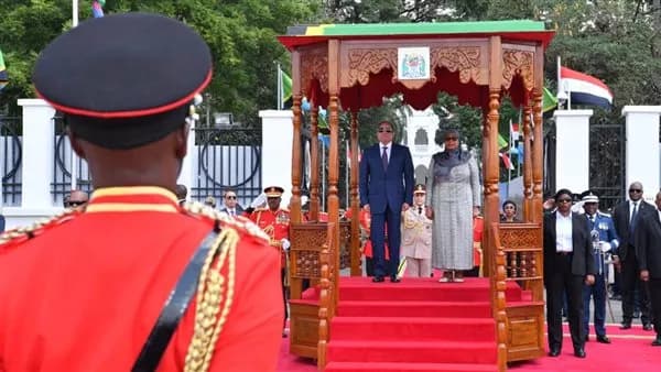 Egypt and Tanzania discuss shipping link