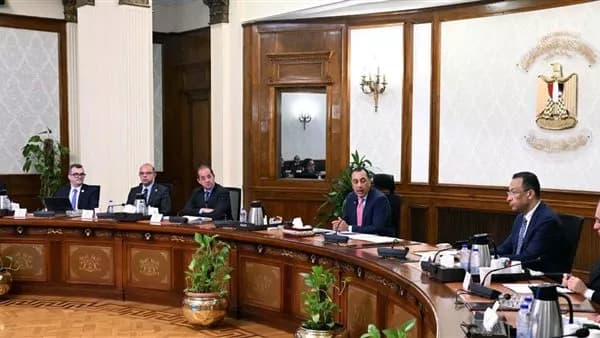 Egypt Digital links 105 entities and offers 242 services