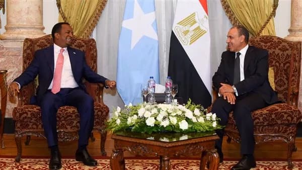 Foreign Minister Meets Somali Counterpart