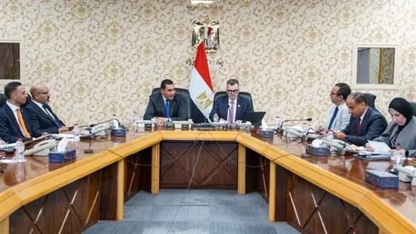Egypt develops plans for Youth Economy project