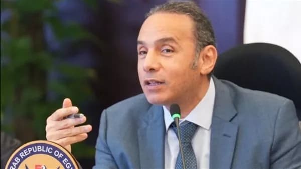 الرقابة المالية تعدل وثيقة تأمين المصريين بالخارج