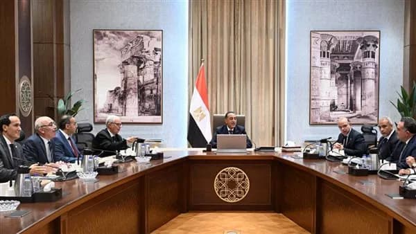 PM reviews Sinai investment efforts