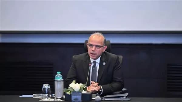 Egypt considers cooperation with DP World to boost African exports