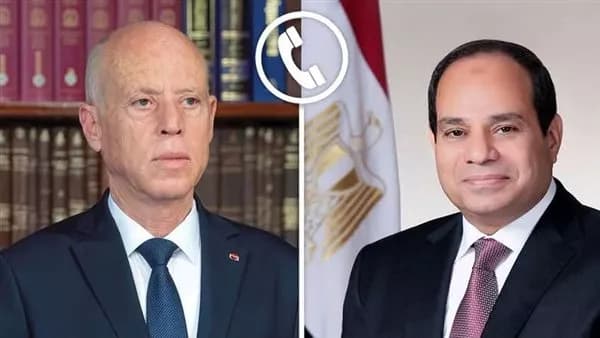 السيسي يتعهد بدعم تونس في مكافحة الحرائق